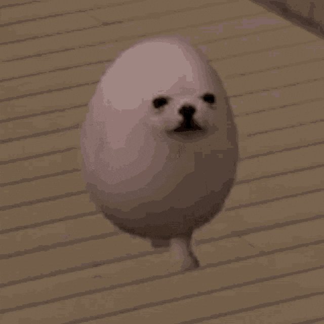 EGGDOG⁠