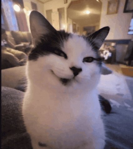 catler
