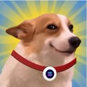 SUNDOG