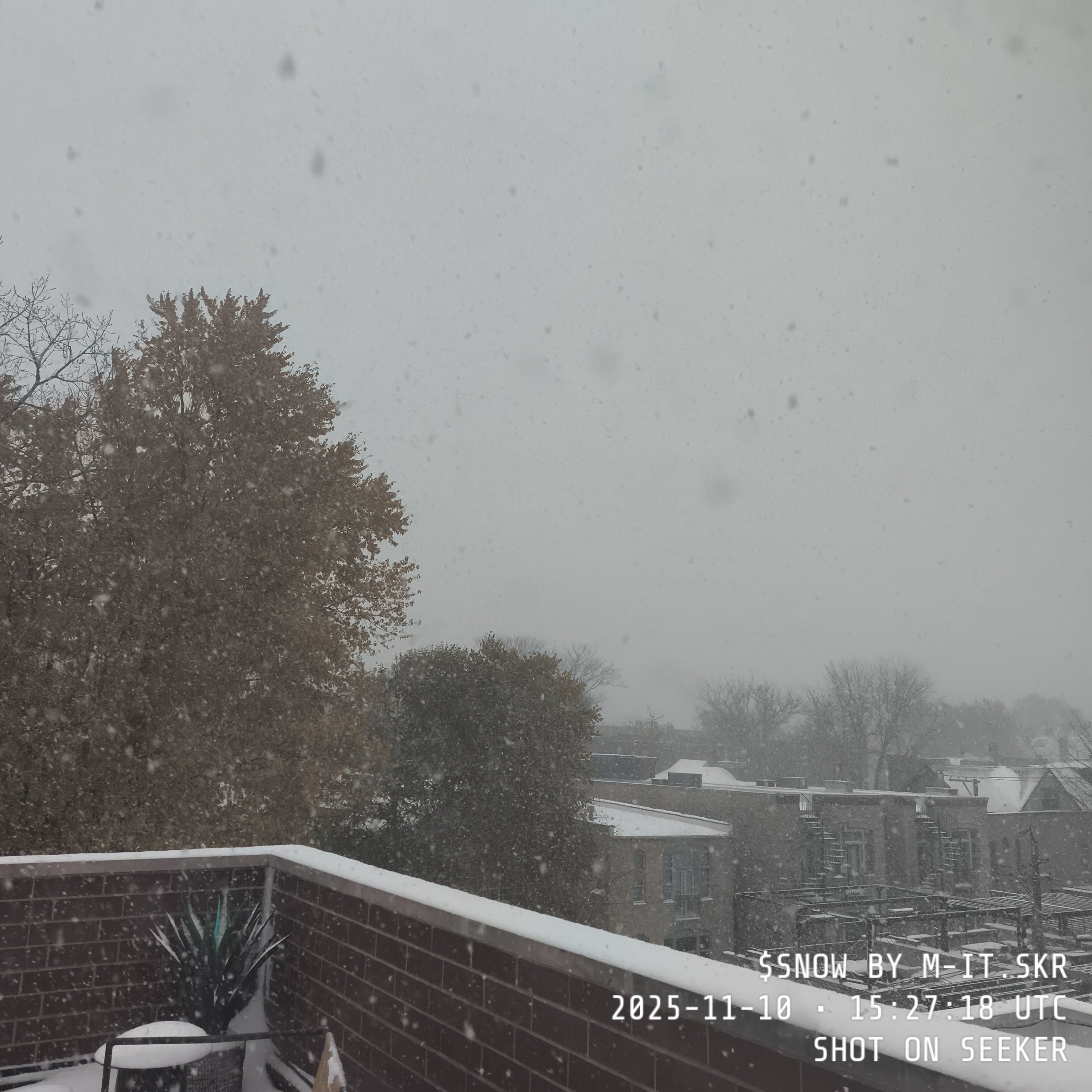 SNOW
