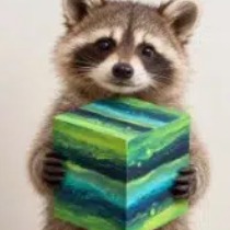 baccoon