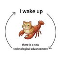 lobster-cat