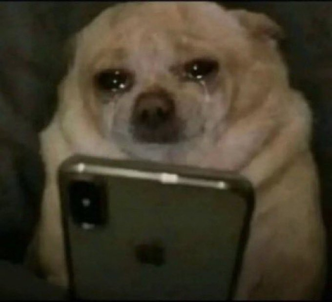 CRYINGDOG