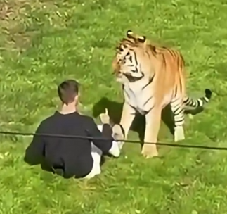 Bad
