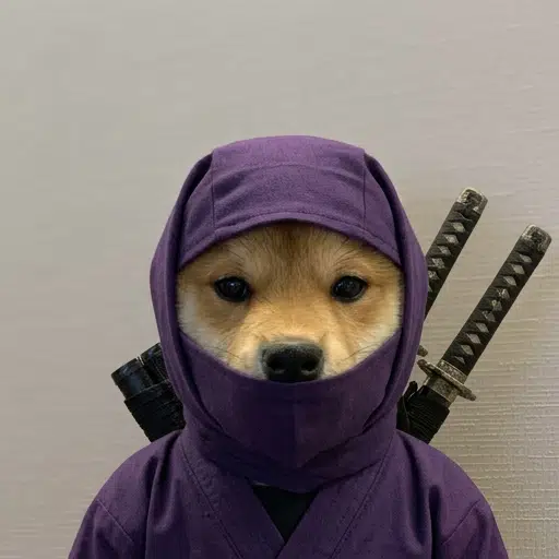 NINJINU