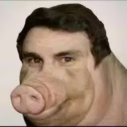 BOAR