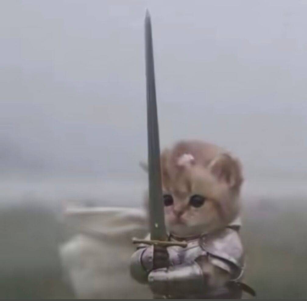 S-Cat
