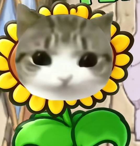 S/Cat