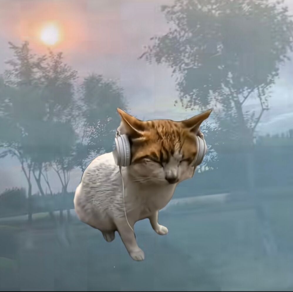 M/Cat