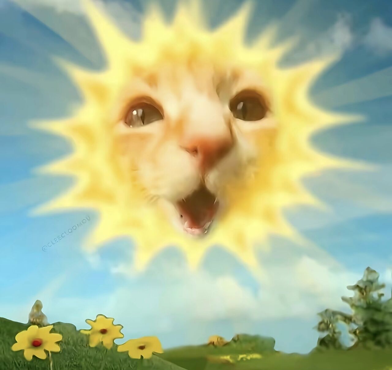 SUN