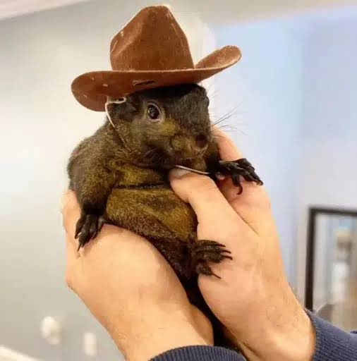 PNUT