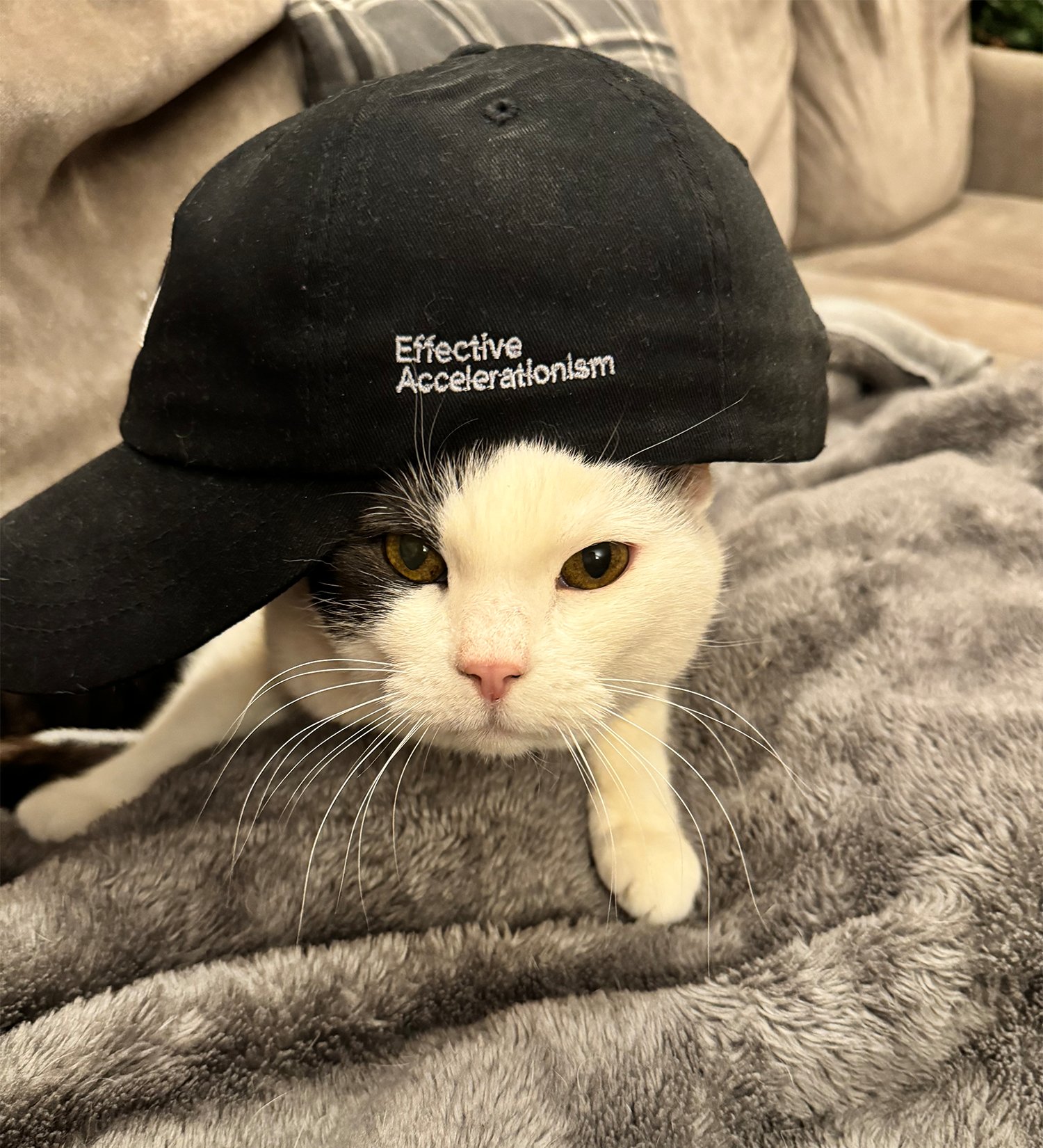 E/CAT