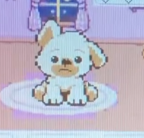 PUPPY